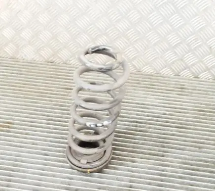 Hyundai Tucson TL Rear coil spring