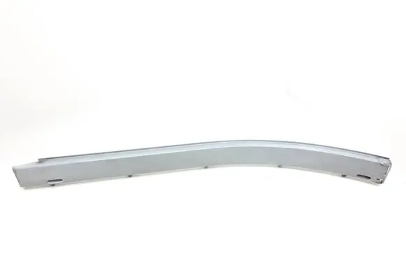 Dodge Grand Caravan Sliding door bottom rail 