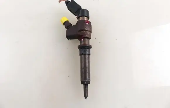 Peugeot Partner Fuel injector 9636819380
