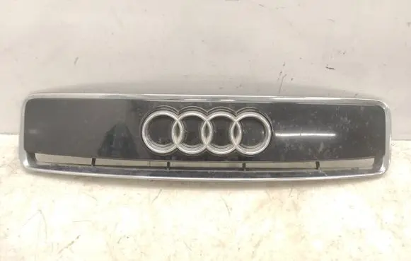 Front bumper upper radiator grill