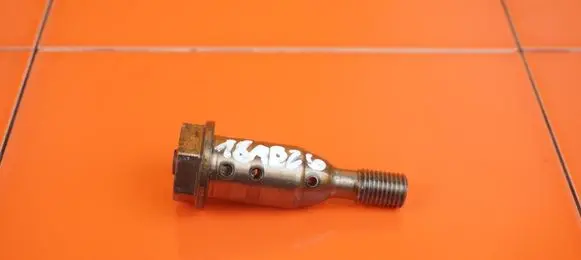 Opel Insignia B Valve 55562224 B14NET