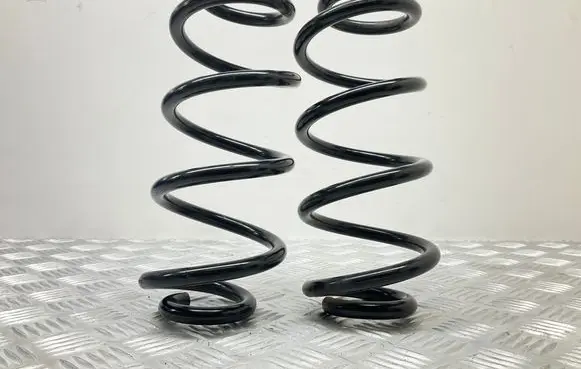 Rear coil spring