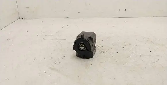 BMW 3 E46 Ignition lock contact 6901961