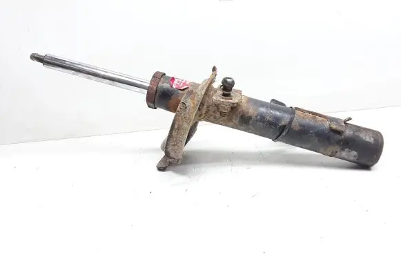 Ford C-MAX I Front shock absorber/damper 334841