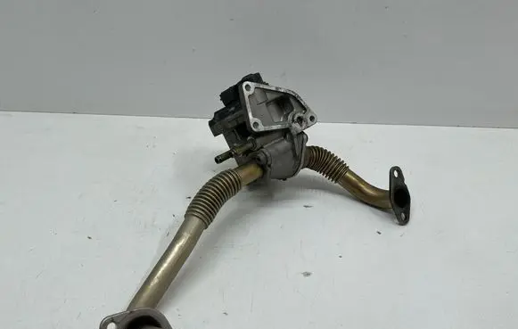 Volkswagen Golf Plus EGR valve A2C53025941 1665A