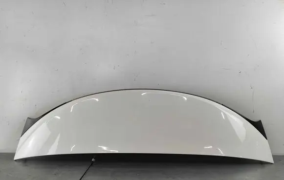 Jaguar XF X250 Tailgate/trunk spoiler C2Z22447LML