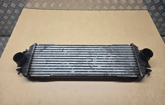 Opel Vivaro Intercooler radiator 91166035