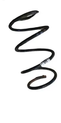 BMW 3 E46 Front coil spring NOCODE