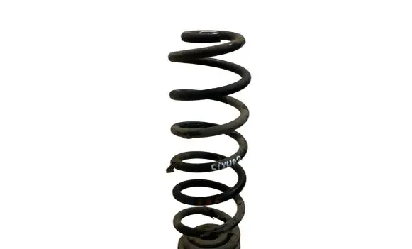Volkswagen Tiguan Rear coil spring