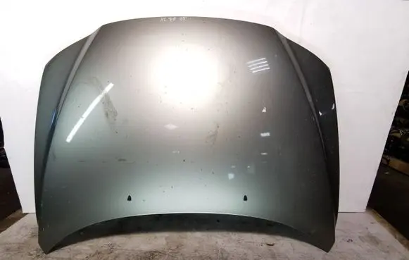 Engine bonnet/hood