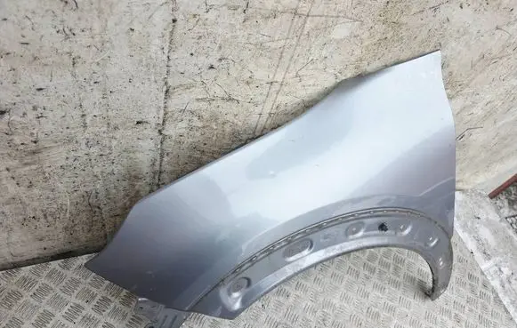 Citroen C4 Cactus Fender 