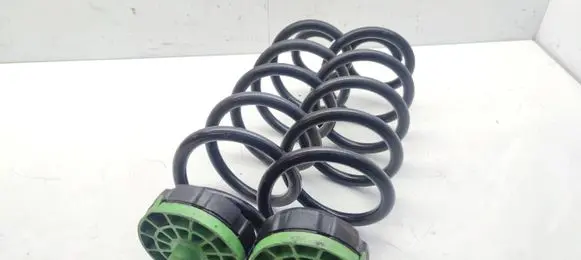 Rear coil spring