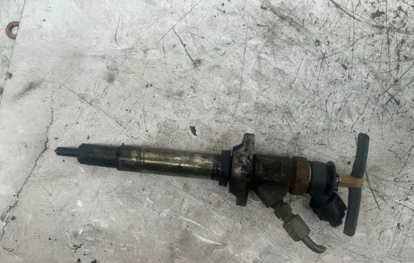 Ford Focus Fuel injector 0445110297