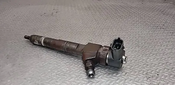 Opel Insignia A Fuel injector 0445110423 55577668