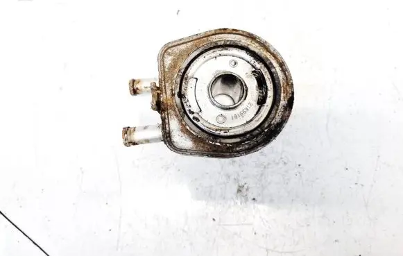 Peugeot 406 Engine oil radiator 