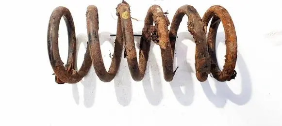 Hyundai Santa Fe Rear coil spring 