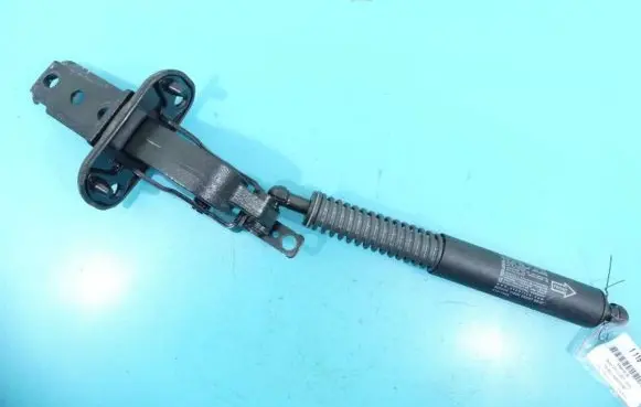 Tailgate/trunk/boot hinge