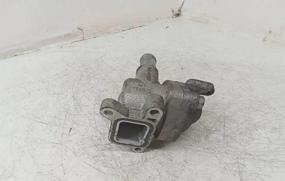 Thermostat/thermostat housing