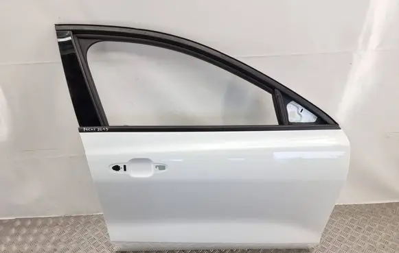 Ford Focus Front door 