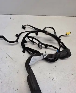 BMW 7 E65 E66 Front door wiring loom 6934028