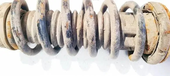 Rear coil spring