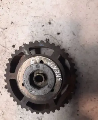 Renault Scenic I Fuel pump gear (pulley) 107855M334A