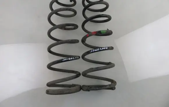 Rear coil spring
