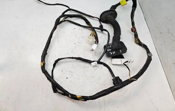 Hyundai H-1, Starex, Satellite Front door wiring loom 916004H730