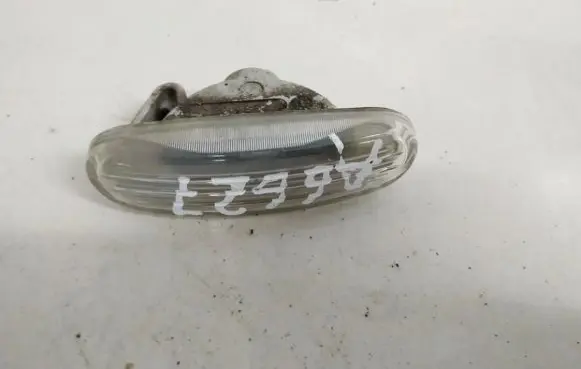 Front fender indicator light