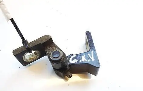 Volkswagen Tiguan Rear door lower hinge 8N0831401