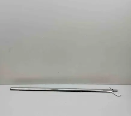 Rear door glass trim molding