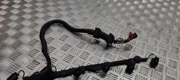 BMW X5 E70 Fuel injector wires 780824705 780824505 738050804