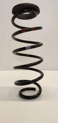Rear coil spring