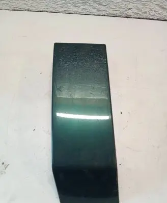 Rear/tail light trim molding