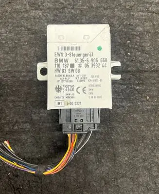 BMW 5 E39 Immobilizer control unit/module 61356905668 05393244 110187