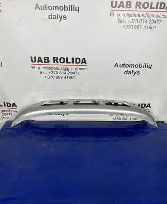 Front bumper lip