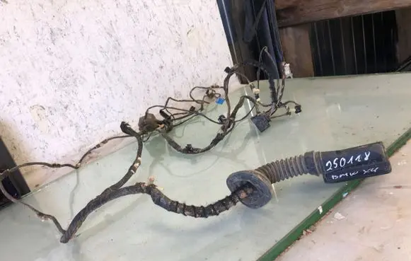 BMW X4 G02 Front door wiring loom 8792270
