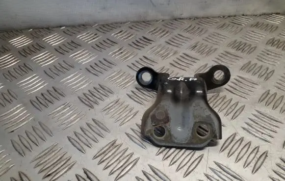 Hyundai Terracan Rear door lower hinge