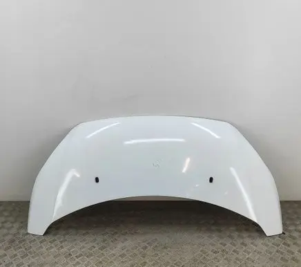 Ford Transit Custom Engine bonnet/hood PBK21A16612AD