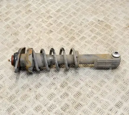 Mini Cooper Countryman R60 Rear shock absorber/damper