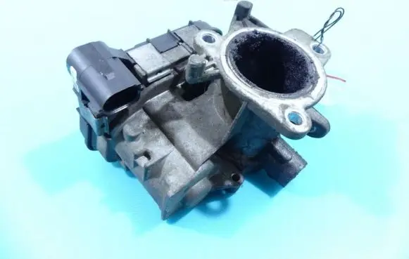 Throttle body valve