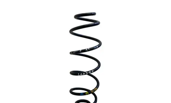 Rear coil spring