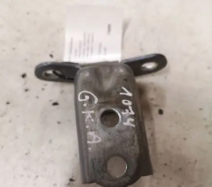 Hyundai Santa Fe Rear door lower hinge