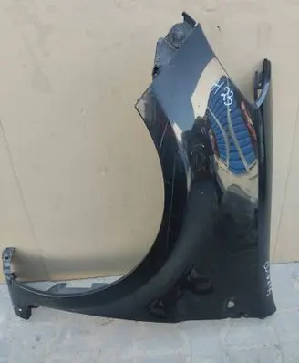 Renault Clio III Fender LEWYBLOTNIKCLIOIII