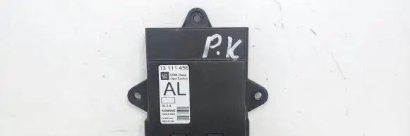 Opel Signum Door control unit/module 13111456