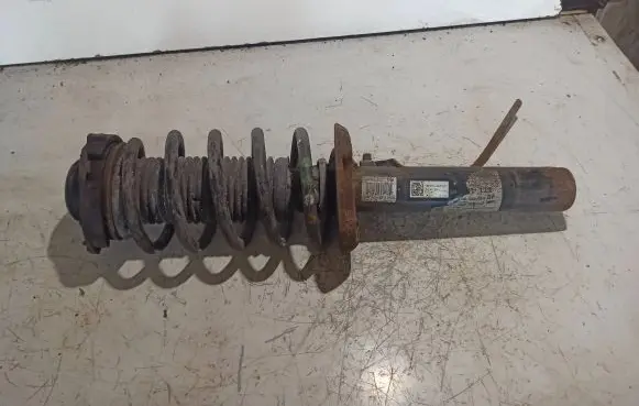 Front shock absorber with coil spring