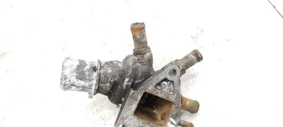 Thermostat/thermostat housing