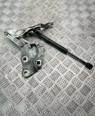 BMW X3 F25 Engine bonnet/hood hinges 7210730