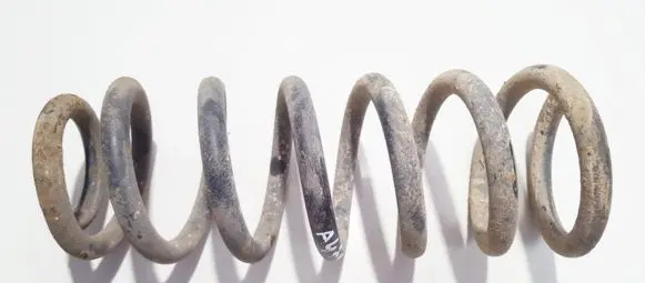 Peugeot 406 Rear coil spring