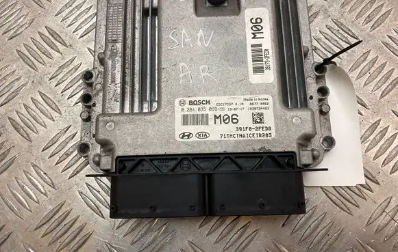 Hyundai Santa Fe Engine control unit/module 391F02FED0 0281035069